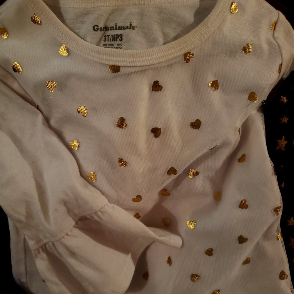 3T Cute Little Girls outfit